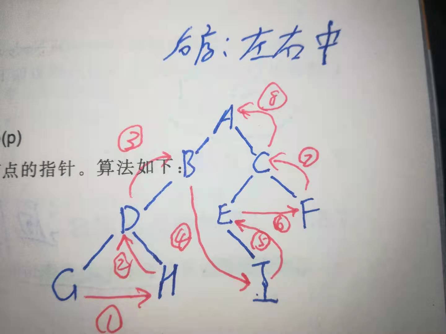 二叉树的建立，输出，查找，c/c++描述（上）理论篇