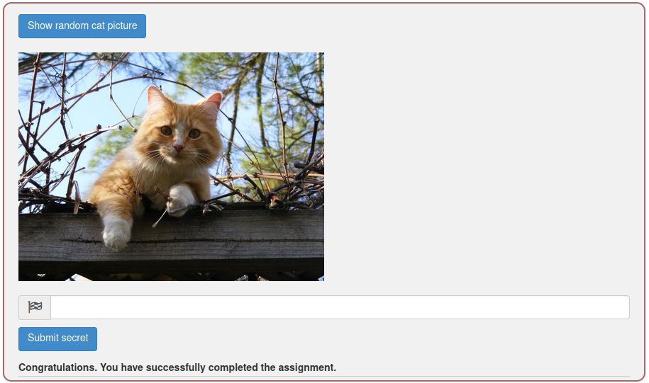 WebGoat 8.1 靶场 刷题通关教程全攻略 - (A1) Injection