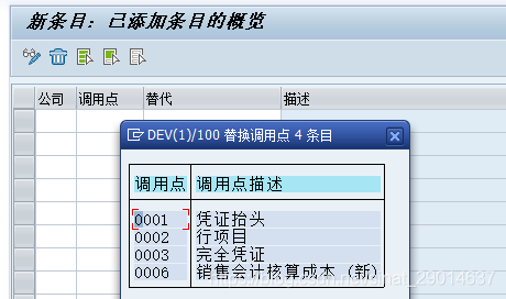 SAP财务凭证校验和替换