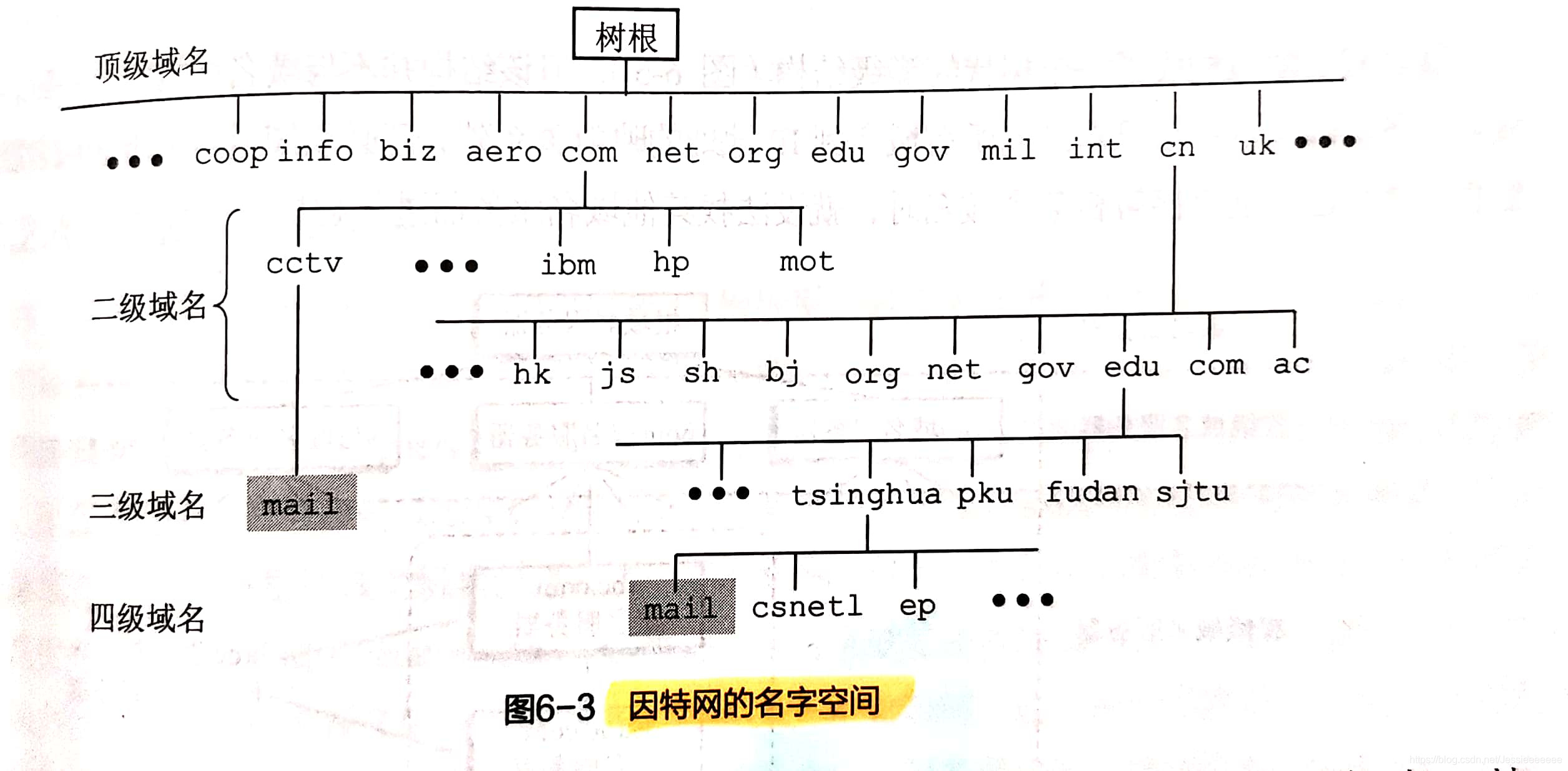 思科 计算机网络 第10章测试考试 答案