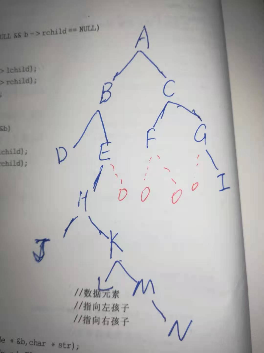 二叉树的建立，输出，深度，宽度与最大宽度，节点总数，叶子节点数，删除，c/c++描述
