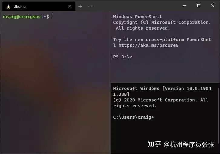 Windows Terminal完整指南