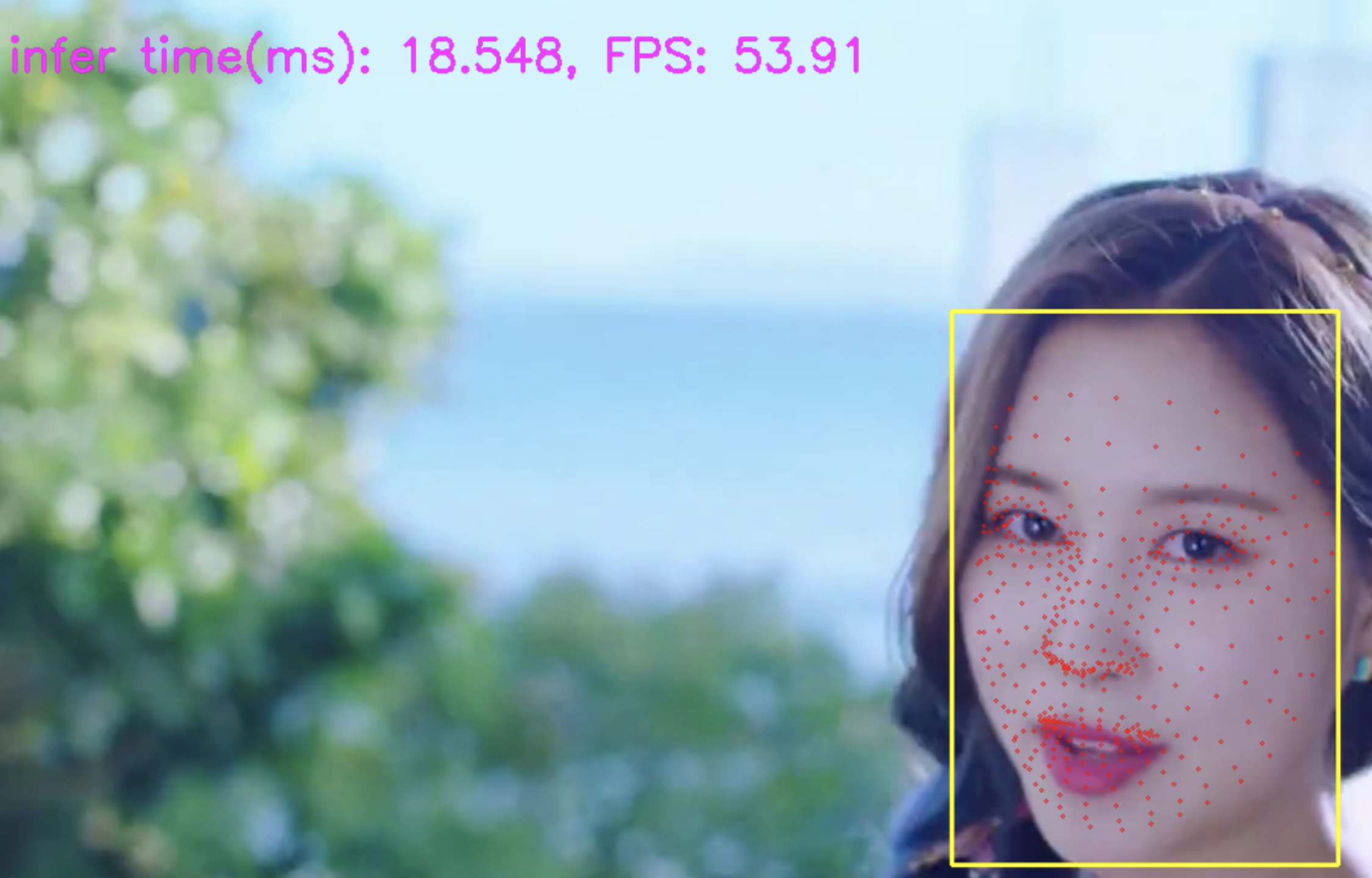 openvino实时人脸表面3d点云提取