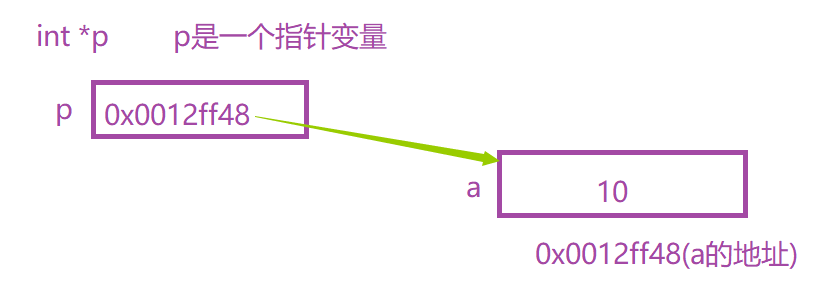 出來的地址是不一樣的指針的定義&取地址操作符`` a 整型變量&a