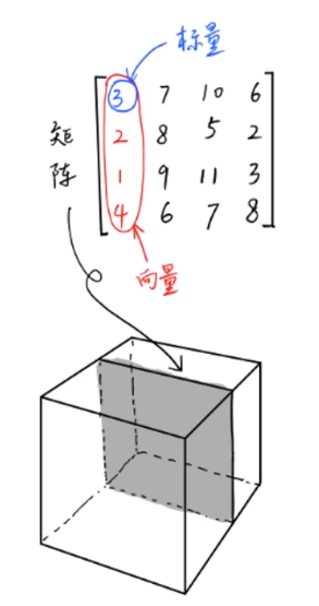 pytorch学习基础案例一