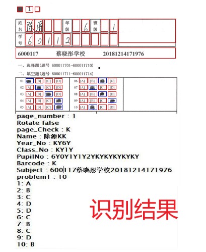 客观题识别结果