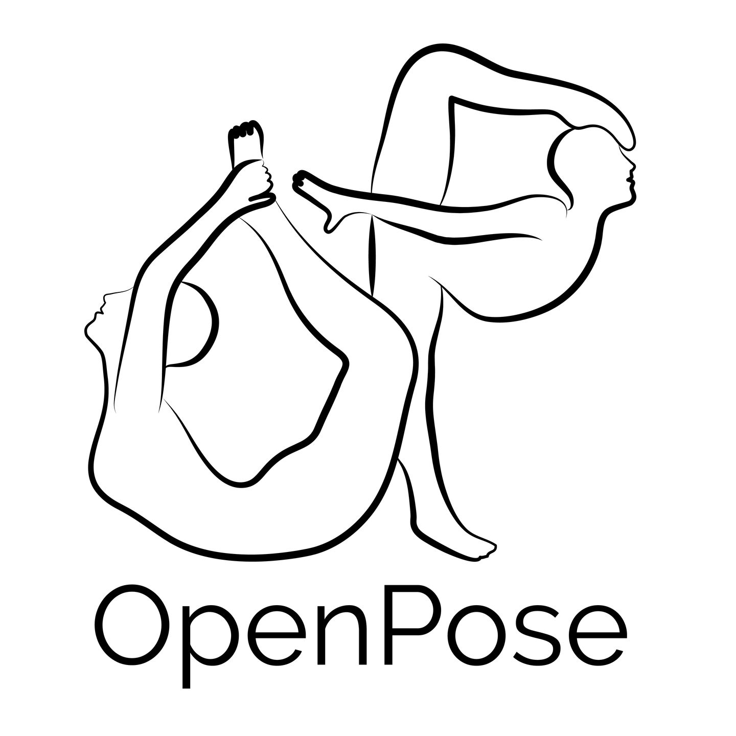 openpose如何处理视频