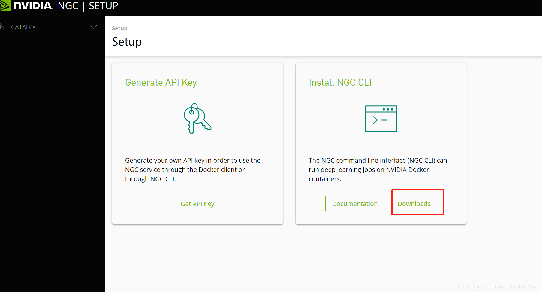 CLIP  NVIDIA NGC