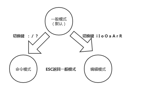 Linux的修仙之路——文本编辑器