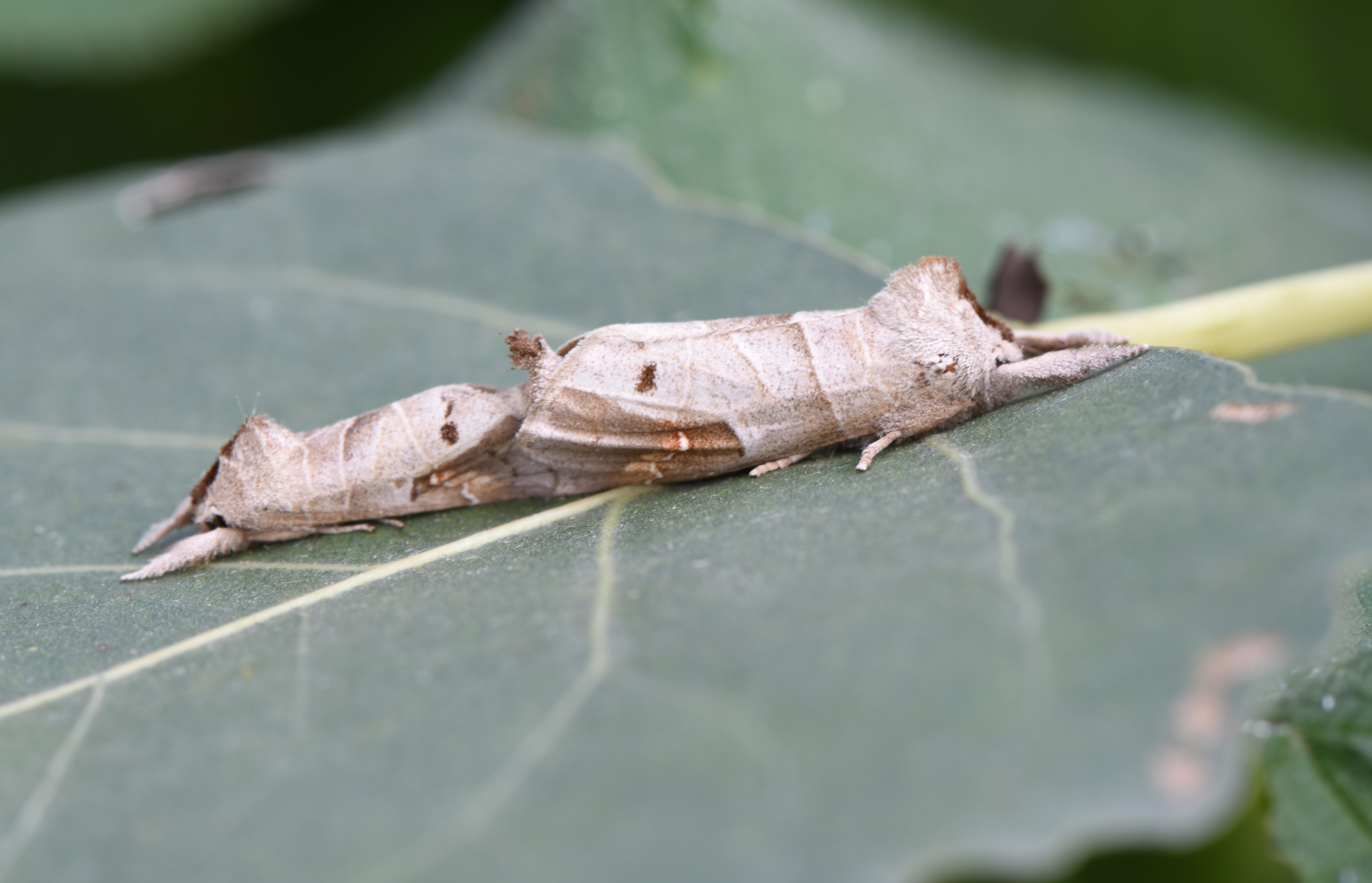 2021-06-17_ylylnd的博客-csdn博客