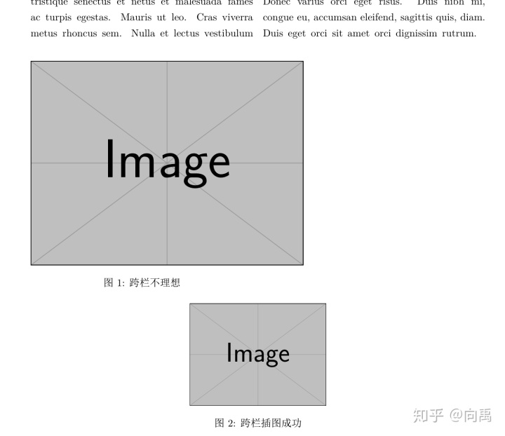 LaTeX双栏模板插入通栏公式（跨栏插图）