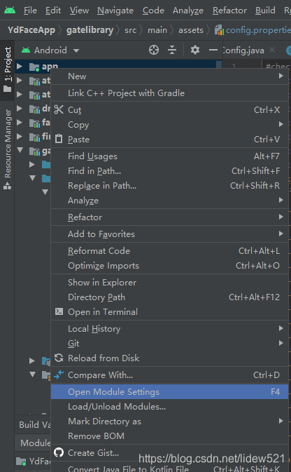 谷歌有另外开发安卓吗 watermark,type_ZmFuZ3poZW5naGVpdGk,shadow_10,text_aHR0cHM6Ly9ibG9nLmNzZG4ubmV0L2xpZGV3NTIx,size_16,color_FFFFFF,t_70