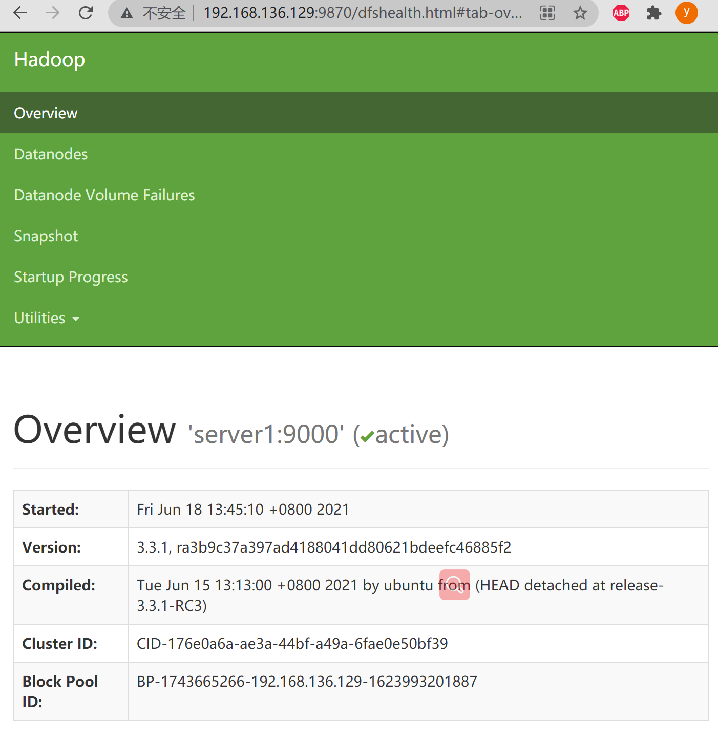 Linux上安装Hadoop集群(CentOS8+hadoop-3.3.1)_hadoop格式化namenode Is Running-CSDN博客