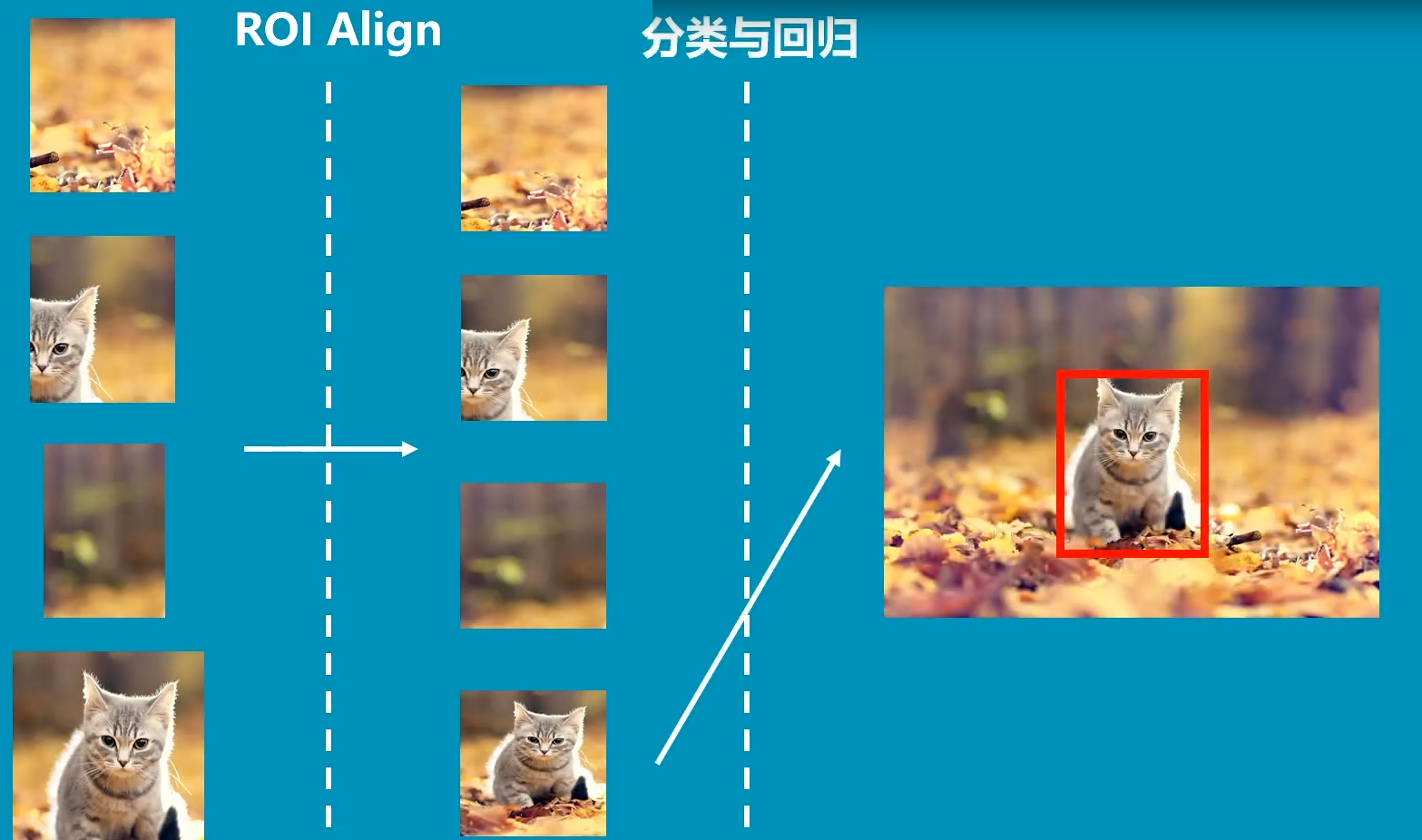 实例分割简述_什么是实例分割-CSDN博客