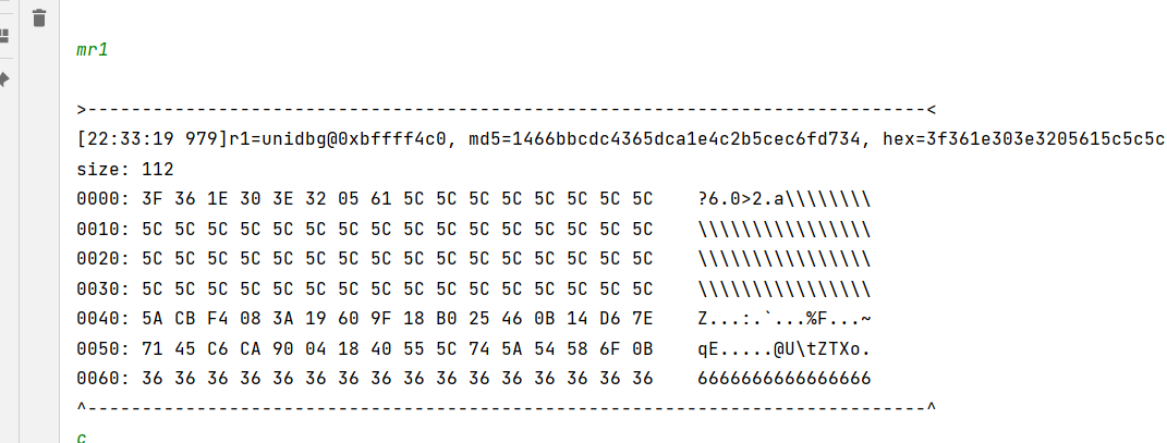 hopper disassembler read memory heap