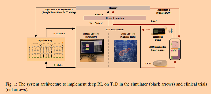 Basal Glucose Control in Type 1 Diabetes using Deep Reinforcement Learning: An In Silico Validation