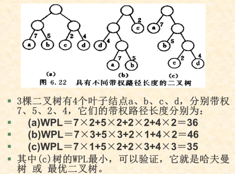 第五章 树和二叉树