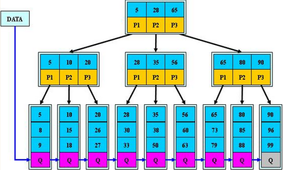 MySQL--索引、事务