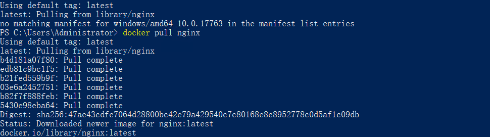 no matching manifest for windows/amd64 10.0.17763 in the manifest list entries