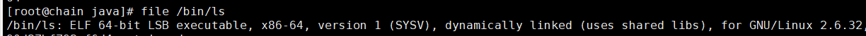 file /bin/ls