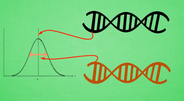 莫烦python：Evolution Strategy Basic 进化策略基础_python ...