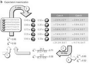 图2  双硬币模型EM算法实现