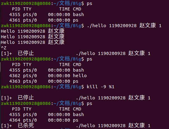 Csapp大作业 Littel Sparkle的博客 Csdn博客 Csapp大作业