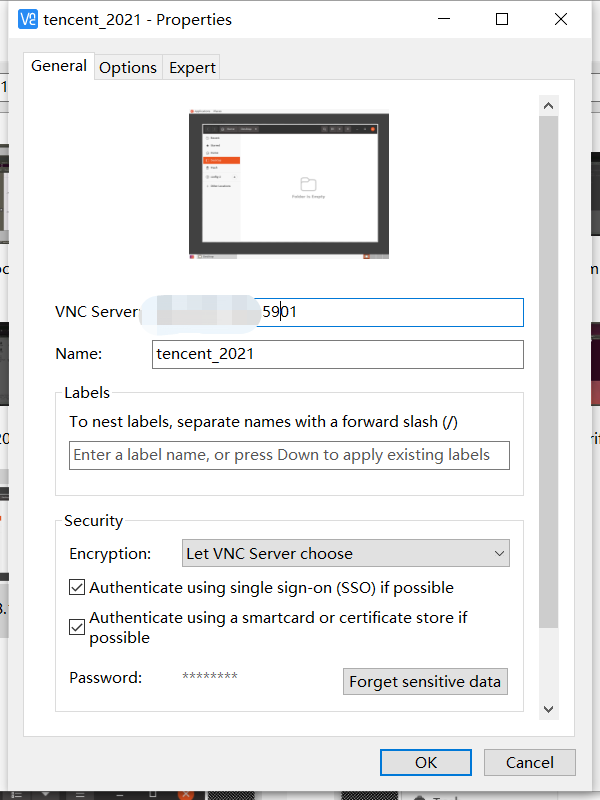 vnc viewer for ubuntu 20.04