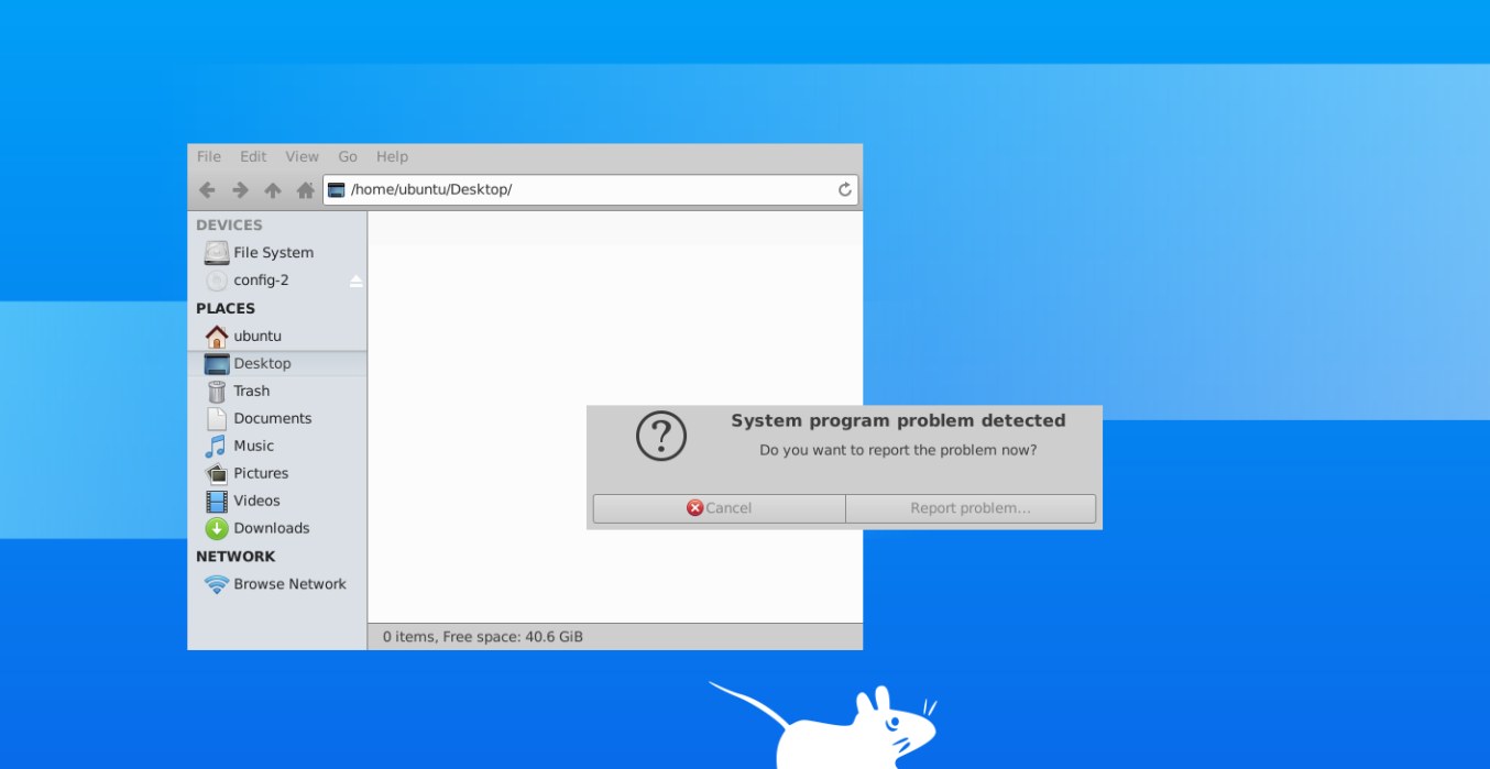 ubuntu install vnc server 20.04