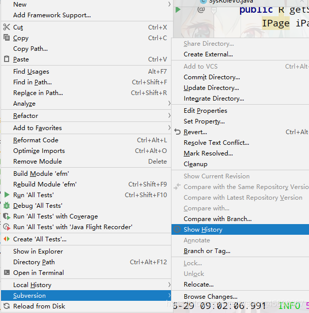 vscode / idea 使用SVN及查看历史记录