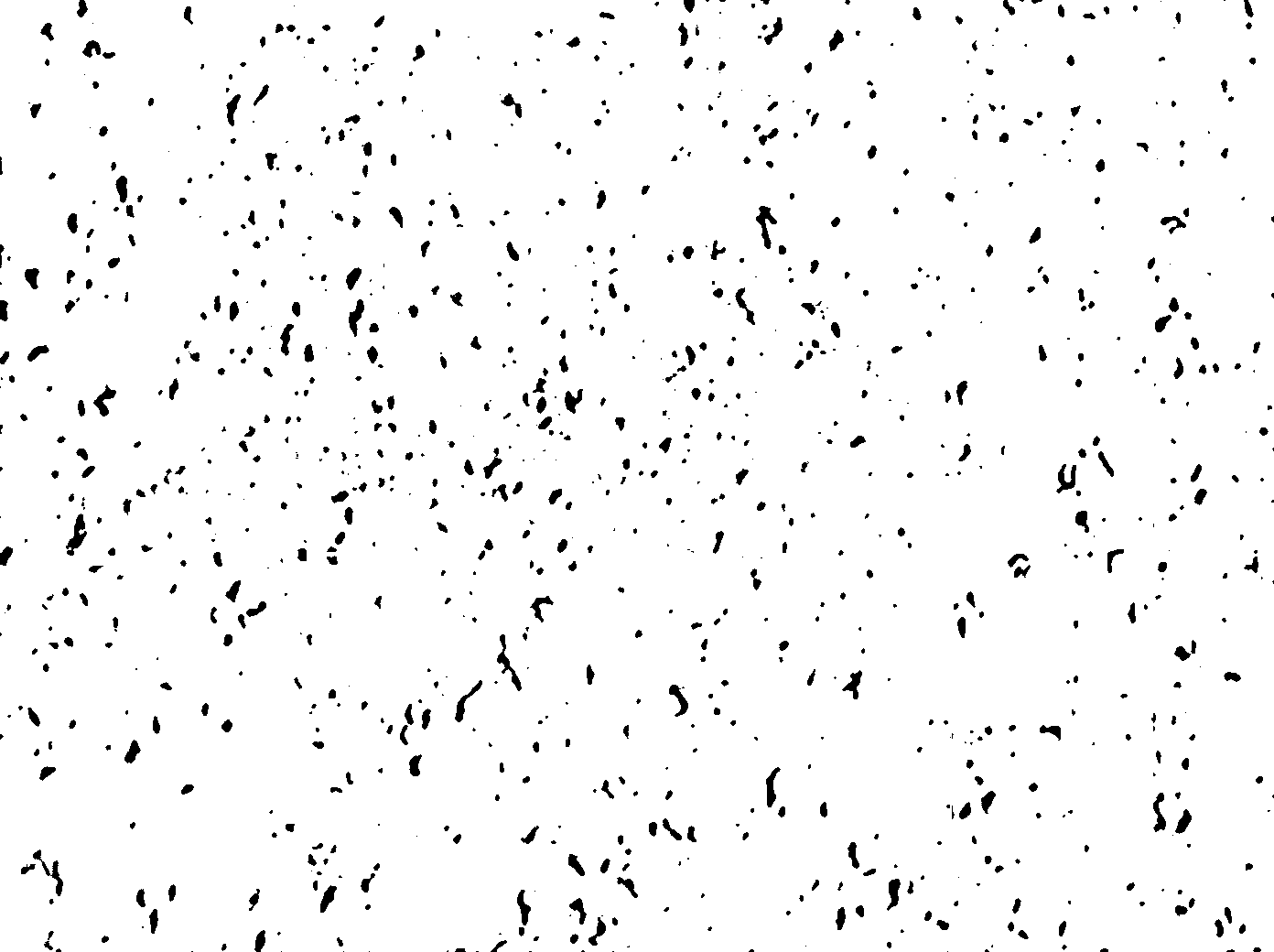 图像处理问题解决师——求取每个颗粒到其他颗粒边缘的最近距离