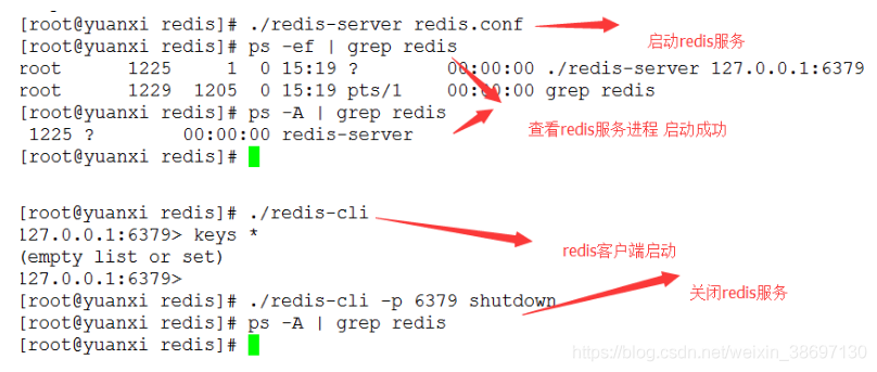 Redis Could Not Connect To Redis At 127.0.0.1:6379: Connection Refused  问题解决_菜鸟小赵的博客-Csdn博客