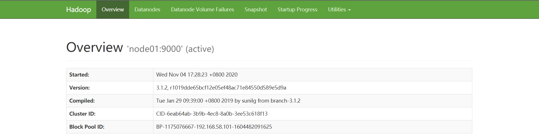 大数据与Hadoop