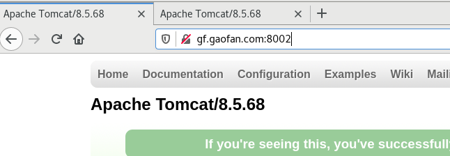 Nginx 虚拟主机与反向代理