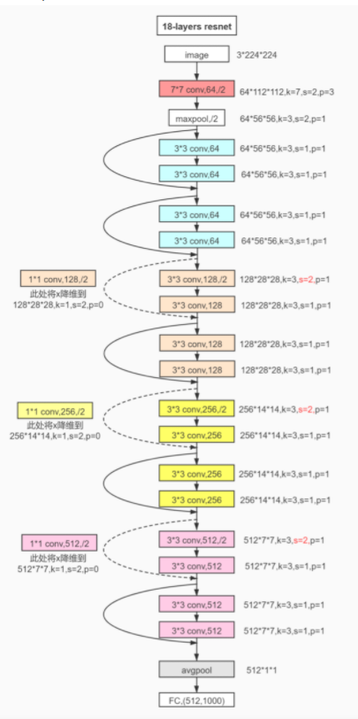 ResNet网络
