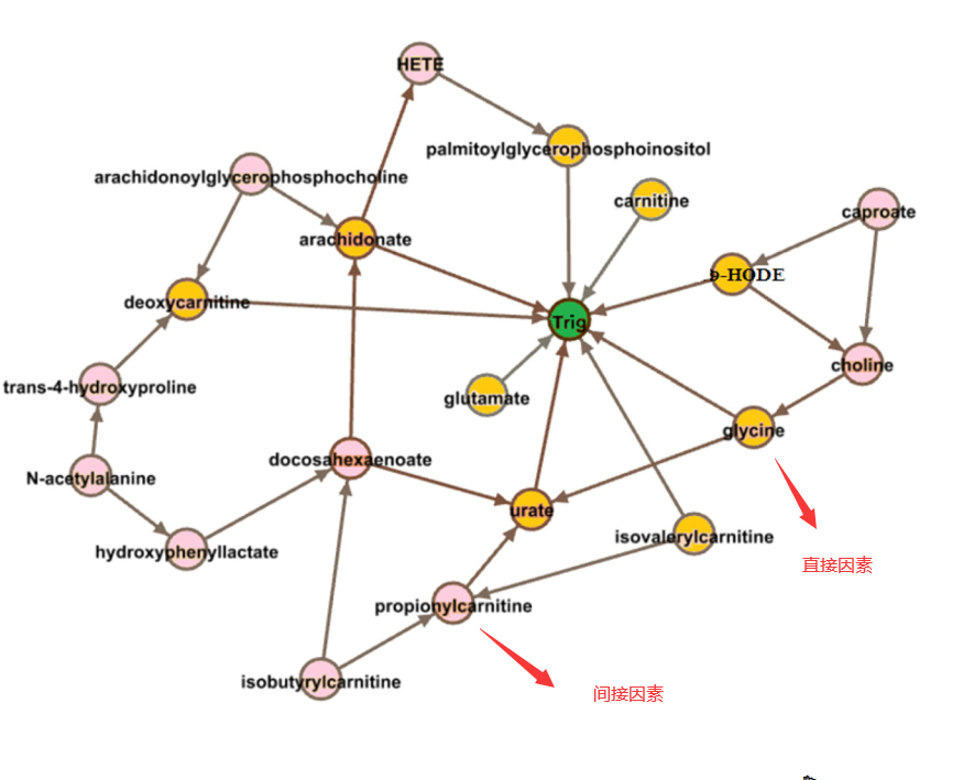 一项观察性研究中的因果网络分析确定了影响血浆甘油三酯水平的代谢组学途径