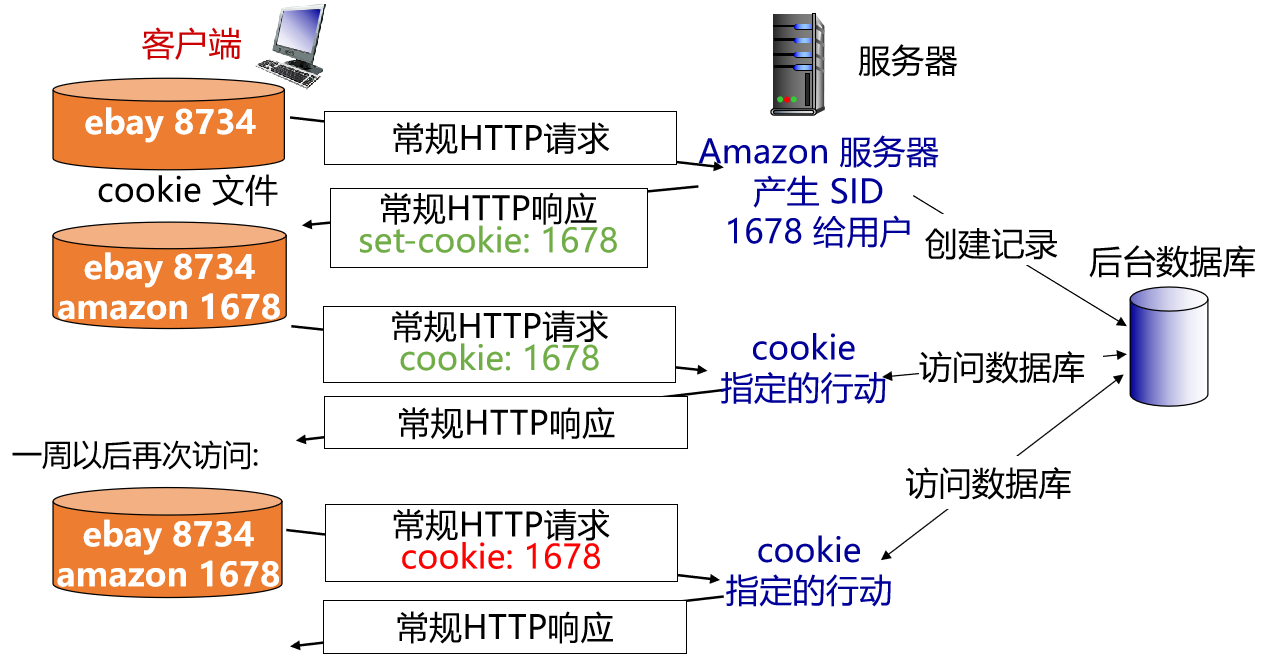 计算机网络知识点大全_个人计算机_https://bianchenghao6.com/blog__第116张