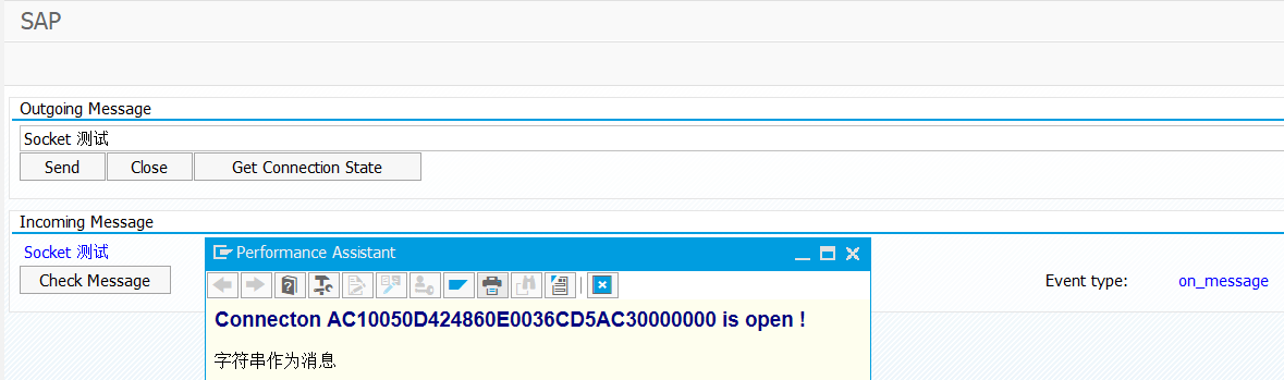 SAP WebSocket Communication with ABAP Push Channel