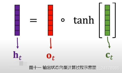 图十一