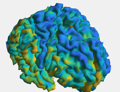matlab脑电图绘画：2D头皮电位拓扑图和3D皮质层拓扑图