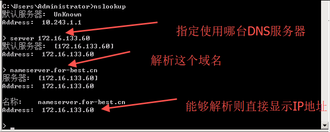 Linux 搭建DNS服务器-BIND_bind离线安装-CSDN博客