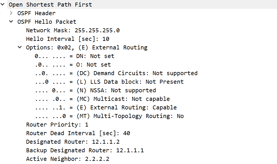OSPF broadcast 报文