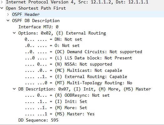 OSPF DD报文