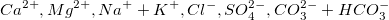 Ca{2+}、{2+}、Na{+}、+K{+}、Cl{-}、SO_{4}{2-}、CO_{3}^{2- }+HCO_{3}^{-}