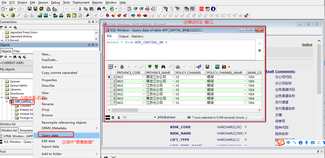 PLSQL 使用教程