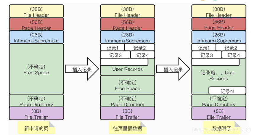 不同阶段页的结构