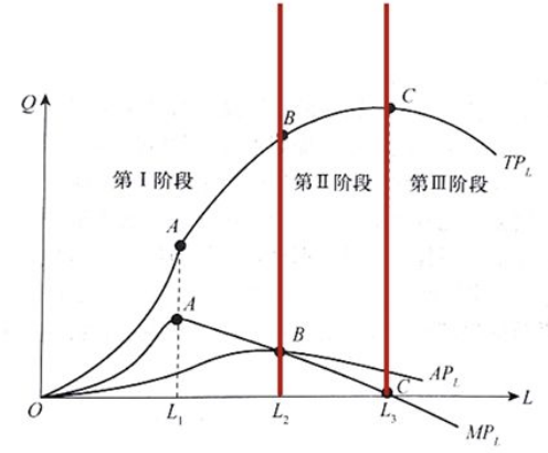 诺兰模型六个阶段图片