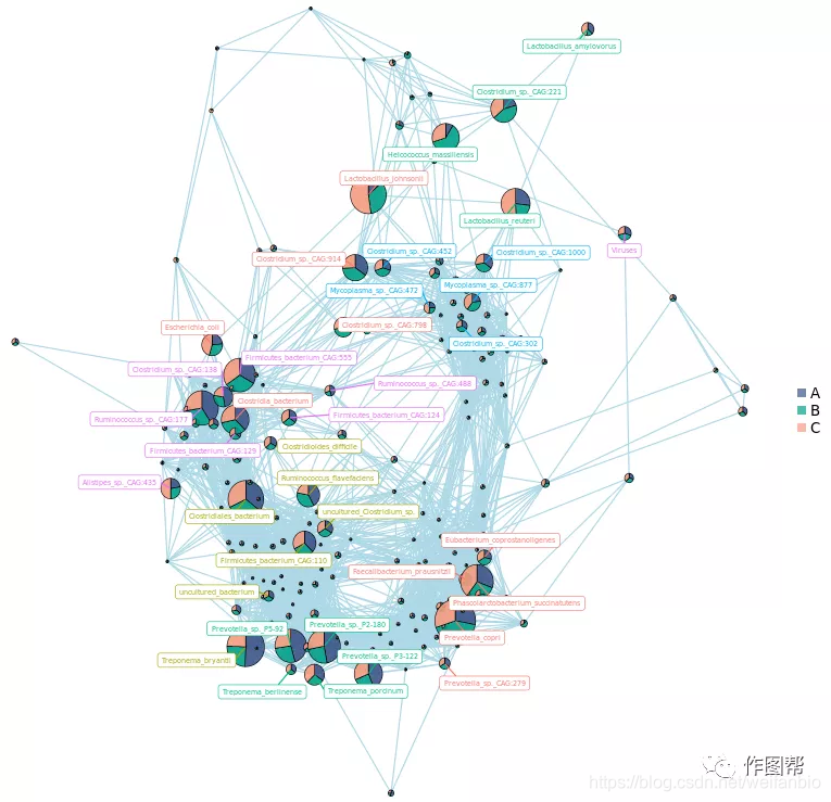在线作图丨绘制一个含饼图的组内网络分析图(Network Analysis)_作图帮的博客-CSDN博客