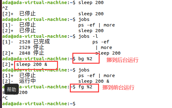 Linux入门篇一（从小白到精通，超详细）