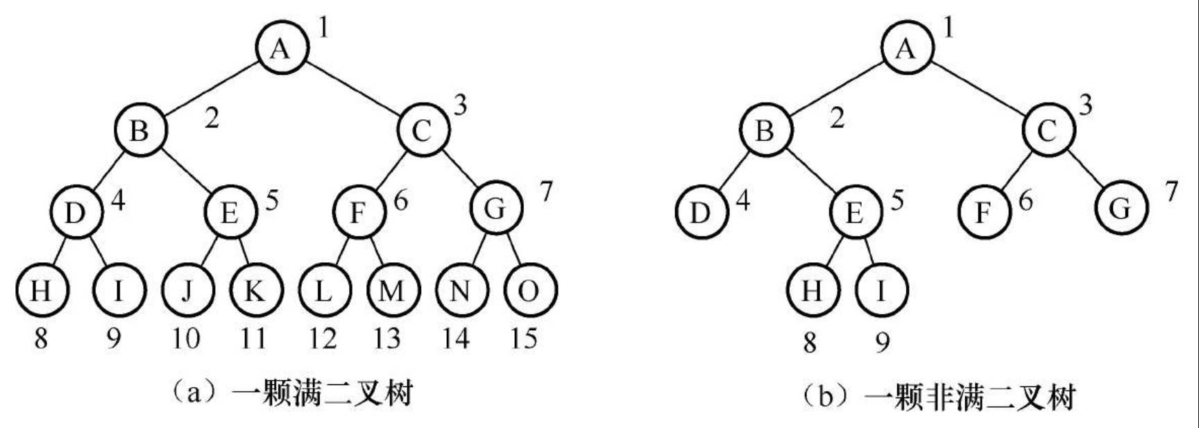 满二叉树和完全二叉树